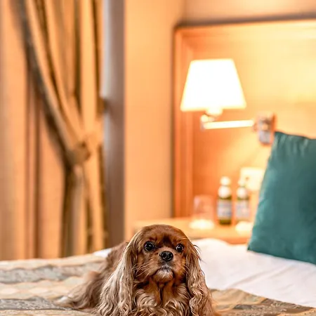 Crowne Plaza Vilnius, An Ihg 4* Wilno