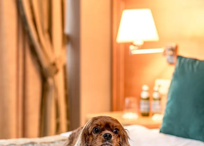 Park Plaza & Spa, Restaurant, Panorama Bar, Conference & Banquet Center 4* Вильнюс