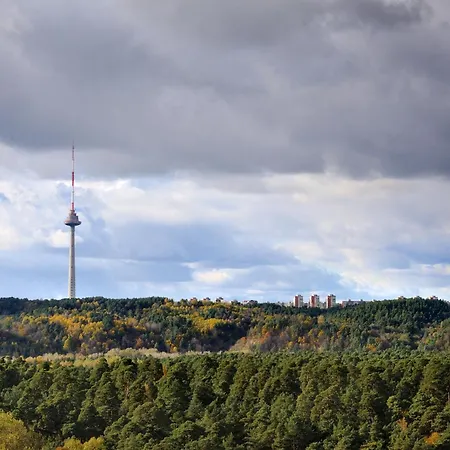 酒店 Park Plaza Hotel, Restaurant & Terrace, Panorama Bar, Conference & Banquet Center